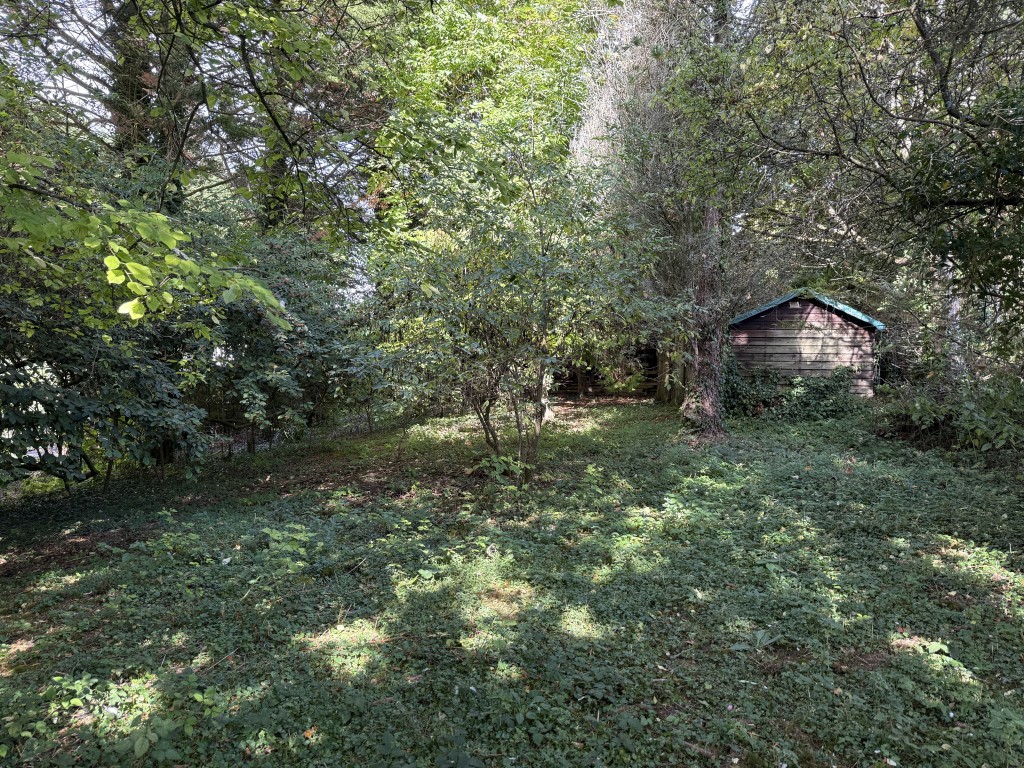 Lot: 47 - APPROXIMATELY HALF AN ACRE OF LAND WITH VACANT POSSESSION - Natural growth and storage shed